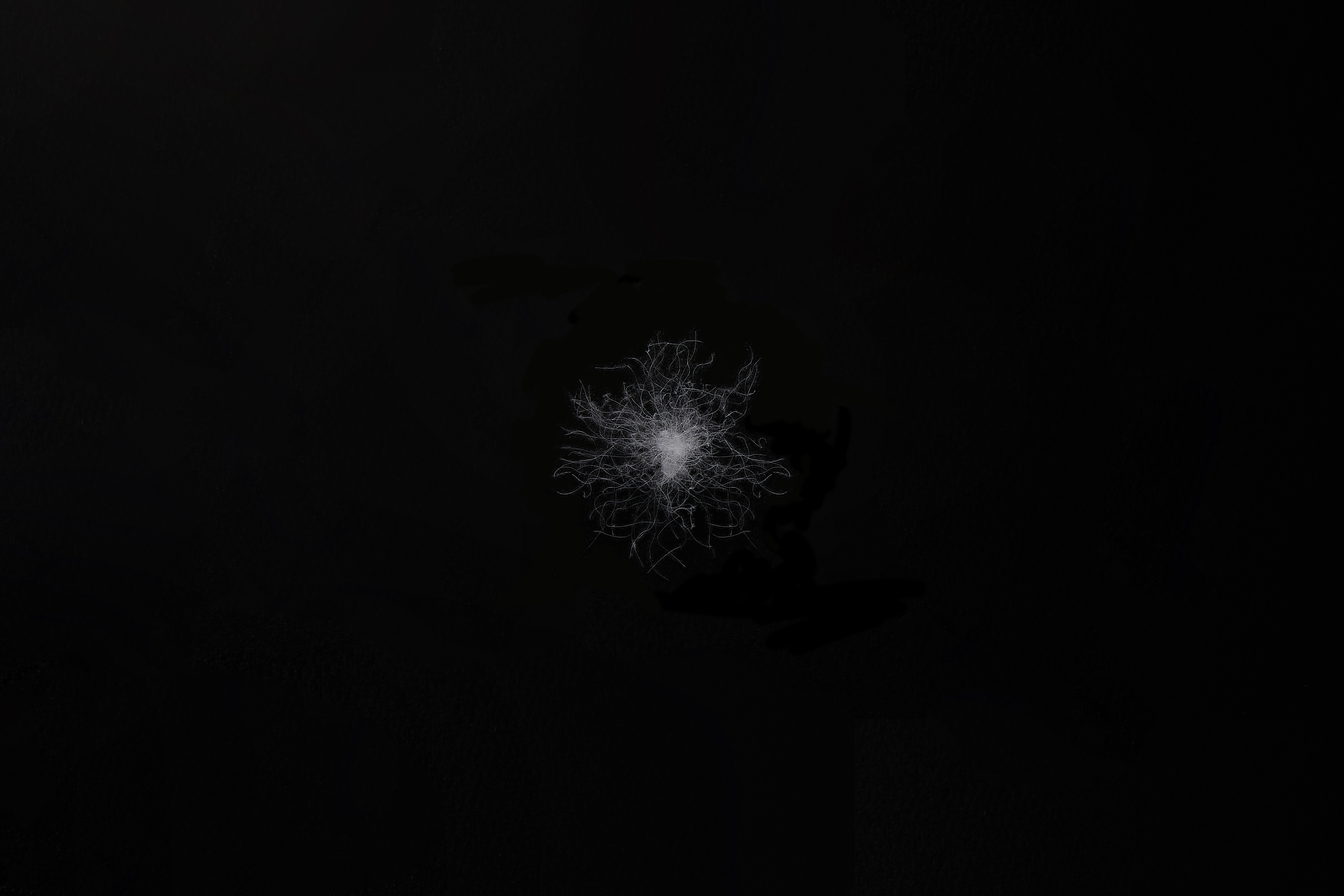 솜털송이 DOWN CLUSTER