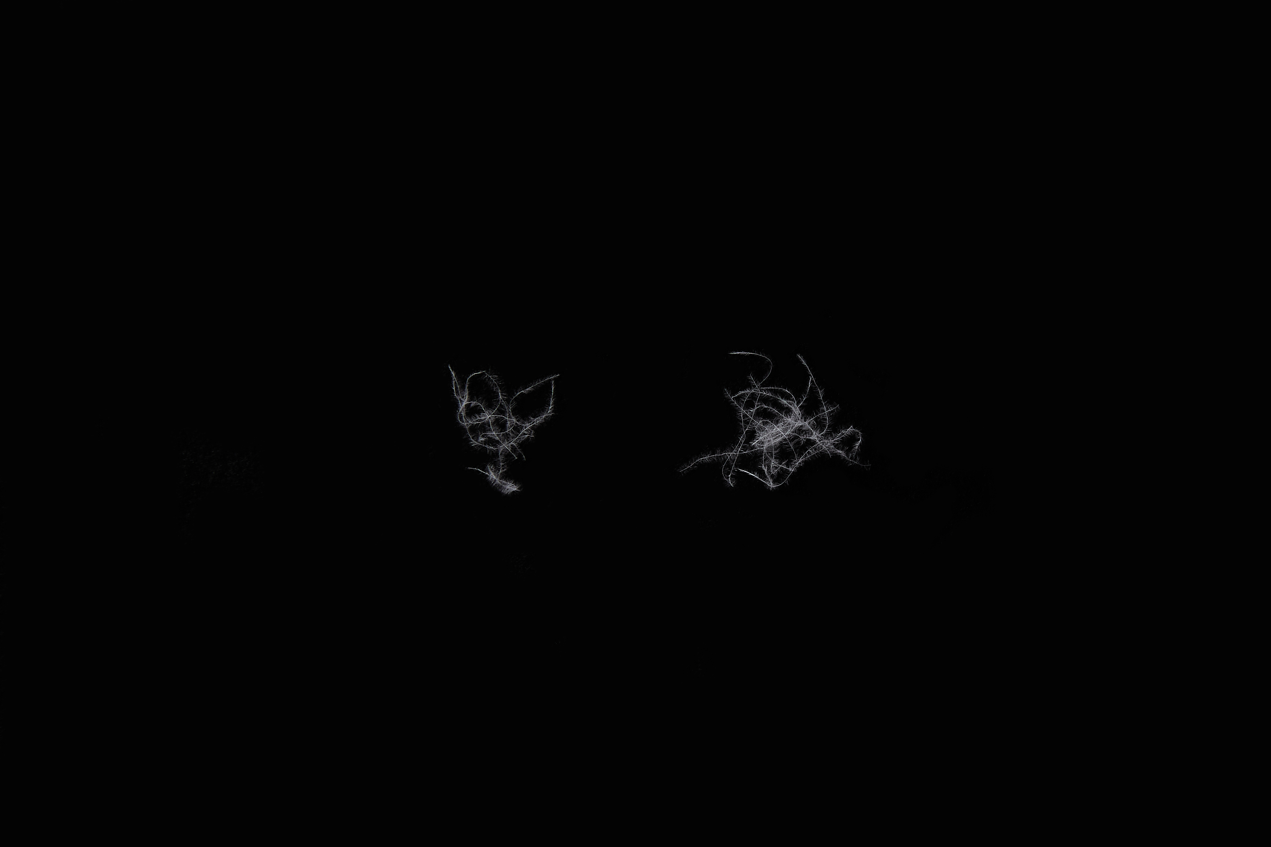 솜털 오라기 DOWN FIBER